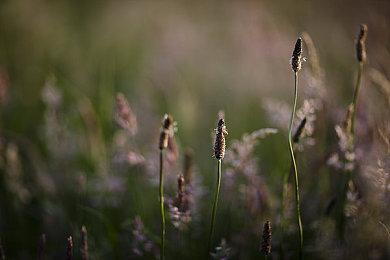 AMD FSR3大显身手 《不朽者传奇》XSX性能提升72%